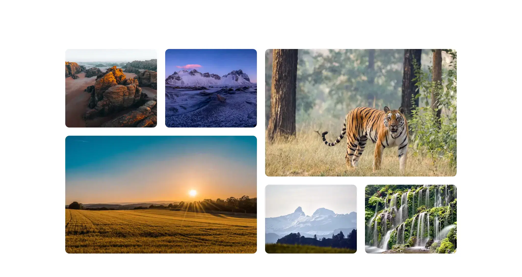 Minimalist Masonry Grid Gallery Component - Tailwindtap